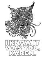Cat Farts Coloring Book I Know It Was You Karen Page