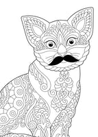 Cats - Coloring with Mustaches