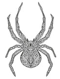 spider coloring page