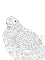 Farting Animals - Coloring Book V4