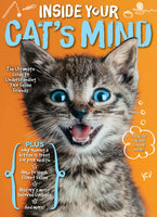 Inside Your Cat's Mind: The Ultimate Guide to Understanding Your Feline Friends