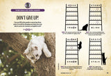 Cat Pawzzles - Purrlock Holmes V2